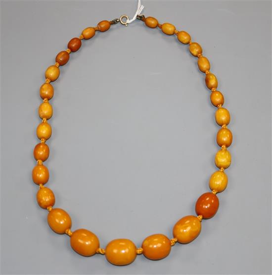 A single strand graduated oval amber bead necklace, gross weight, 38 grams, 52cm.